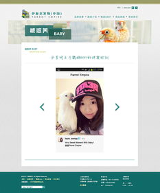 寵物用品網(wǎng)站設(shè)計(jì) 打造貼心便捷的在線購(gòu)物體驗(yàn)